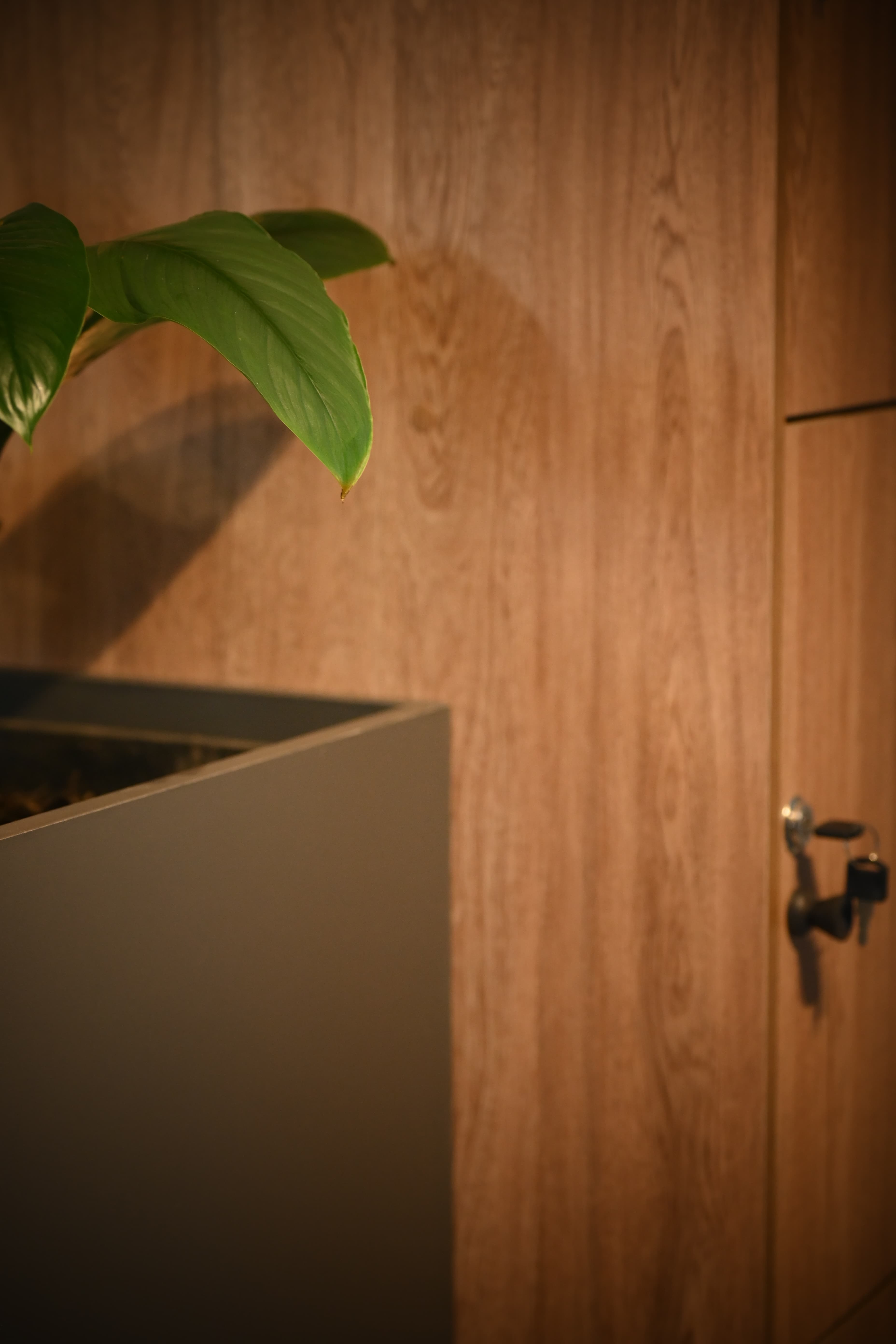 Detalle constructivo Vittiva Carpintería